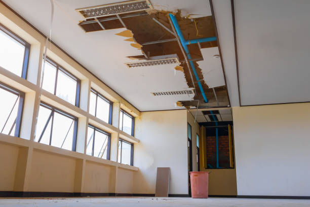 Best Carpet water damage restoration  in Kaibito, AZ